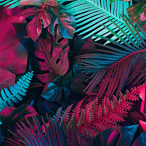 Adesivo Papel de Parede - Folhagem Colorida 3